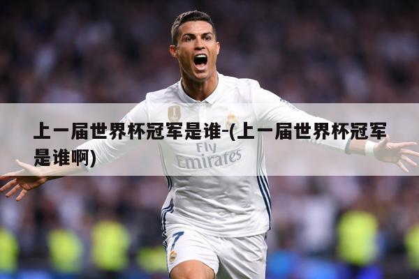 上一届世界杯冠军是谁-(上一届世界杯冠军是谁啊)