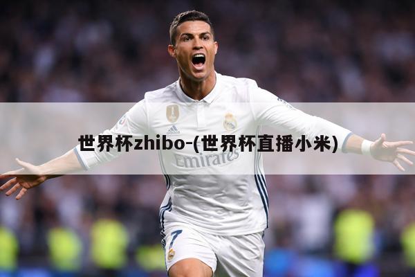 世界杯zhibo-(世界杯直播小米)