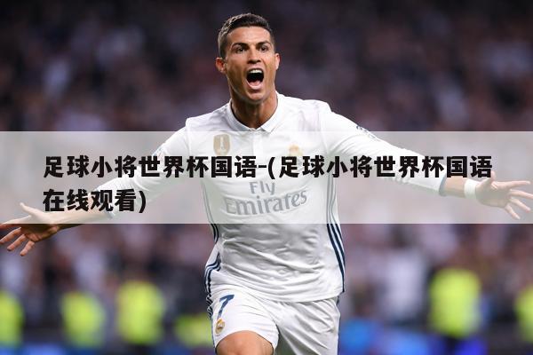 足球小将世界杯国语-(足球小将世界杯国语在线观看)