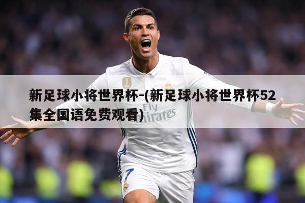 新足球小将世界杯-(新足球小将世界杯52集全国语免费观看)