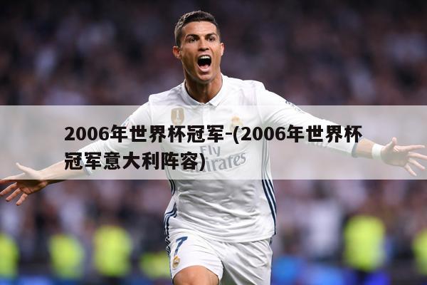 2006年世界杯冠军-(2006年世界杯冠军意大利阵容)