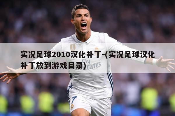 实况足球2010汉化补丁-(实况足球汉化补丁放到游戏目录)