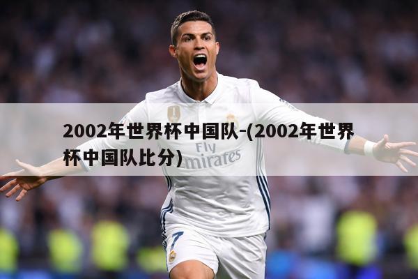 2002年世界杯中国队-(2002年世界杯中国队比分)