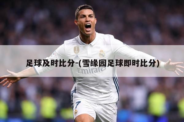 足球及时比分-(雪缘园足球即时比分)